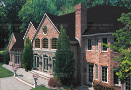 ݽO(sh)ͷɫw̥rʲô(yu)c